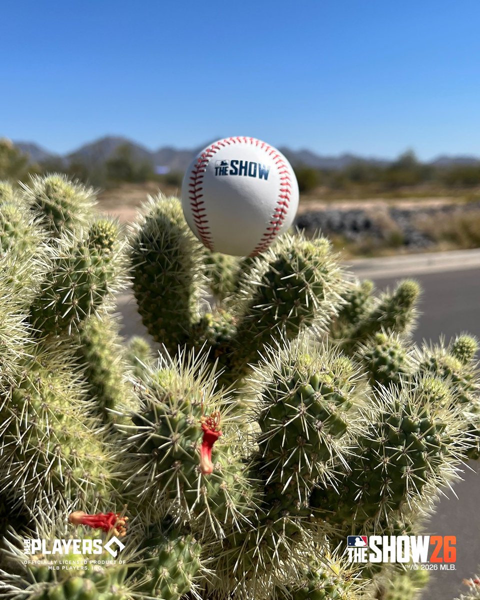 MLBTheShow's tweet image. That #SpringTraining feeling! 🌵 ⚾ 

#MLBTheShow #MLBTS26SpringTraining