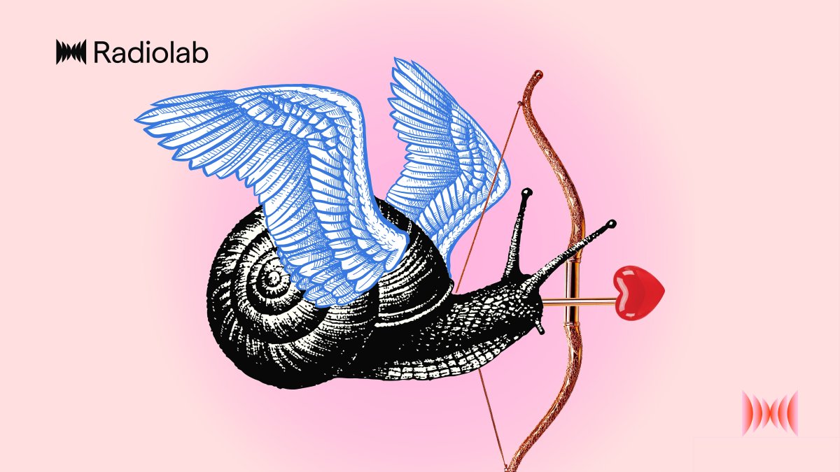 Radiolab tweet media