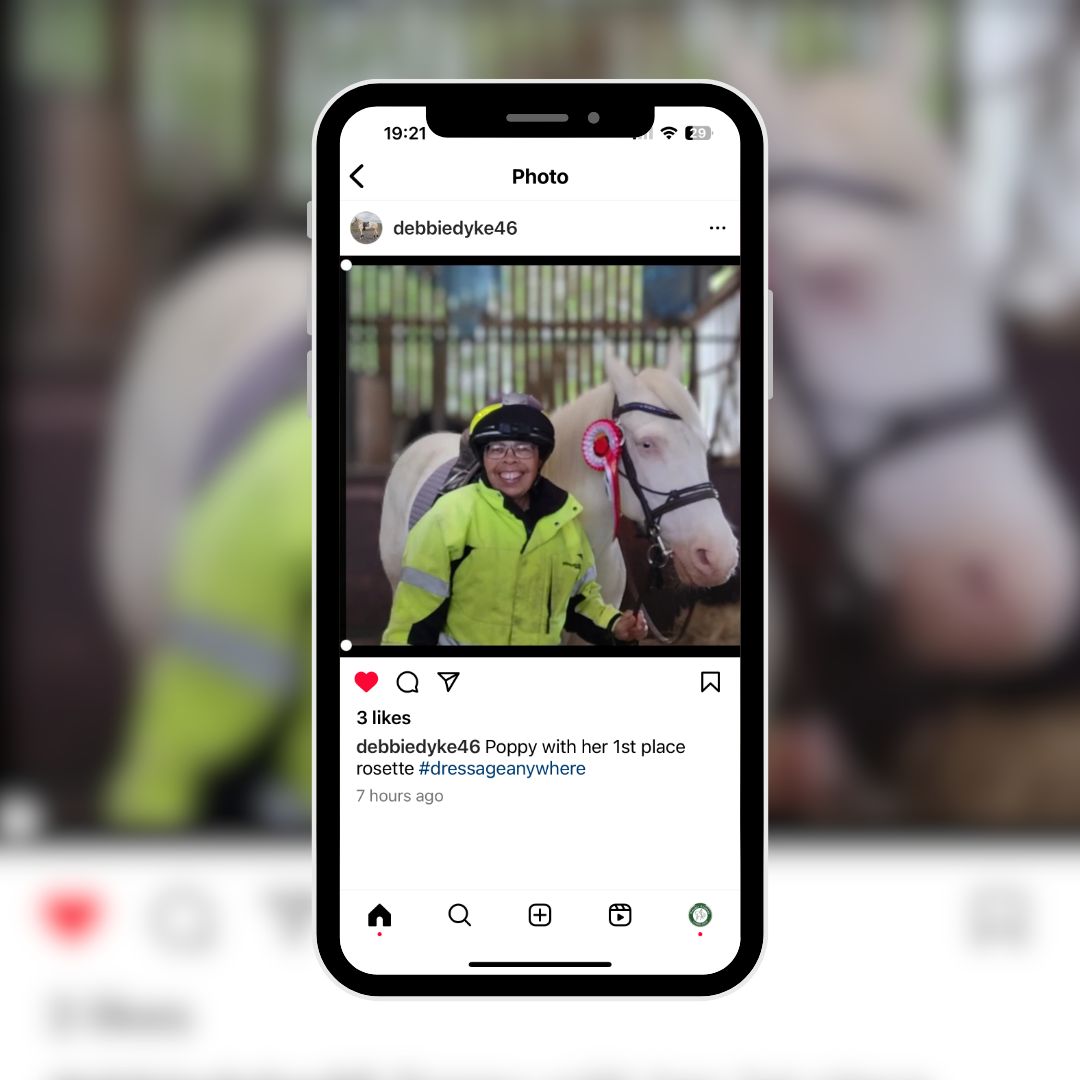 Dressage Anywhere tweet media