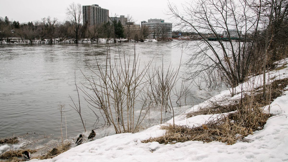 City of Ottawa tweet media