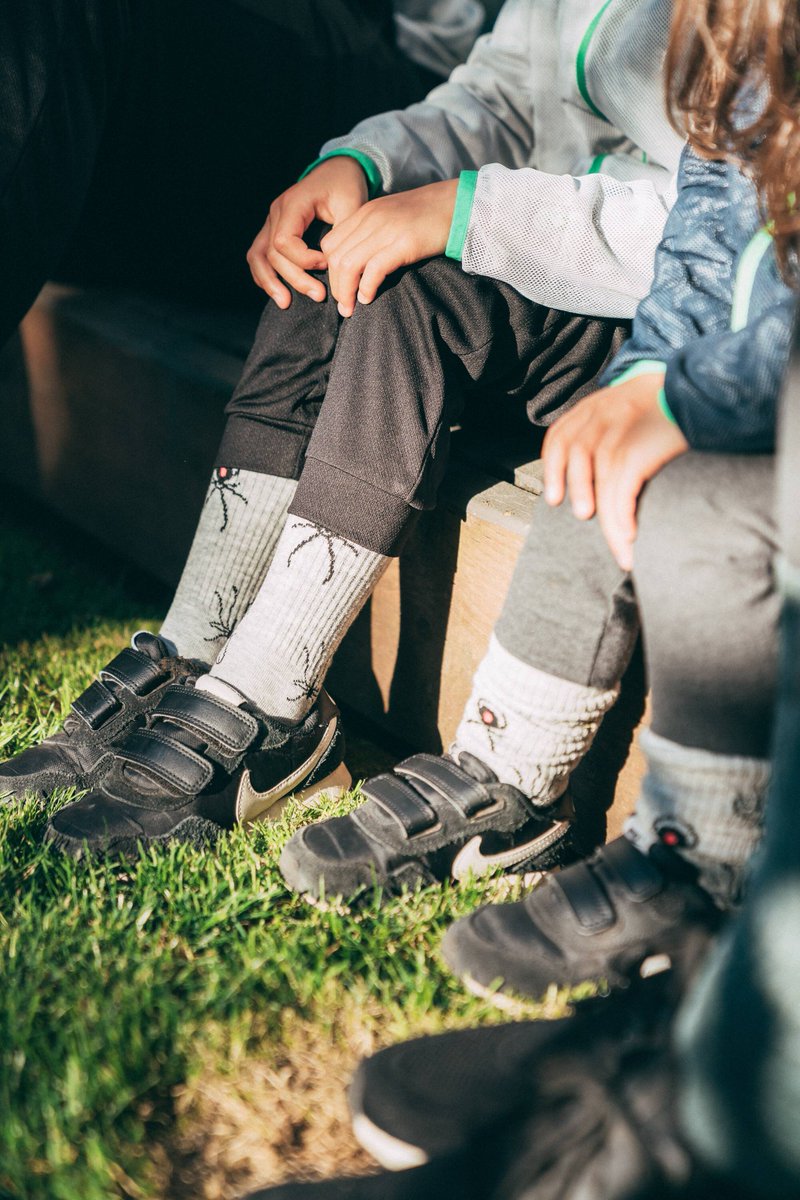 Insect Shield tweet media