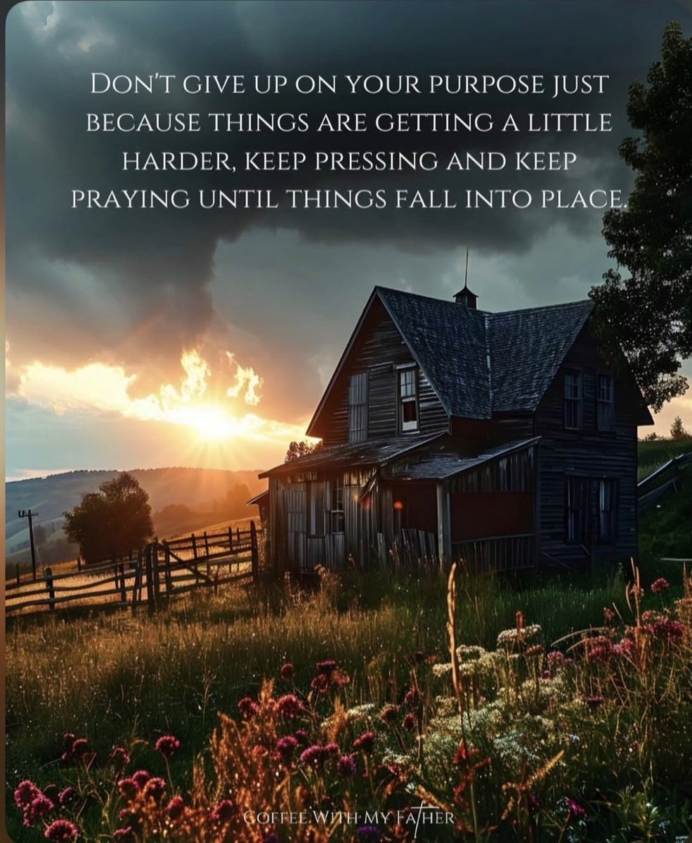 Ms.Alaura Mack M.Ed tweet media