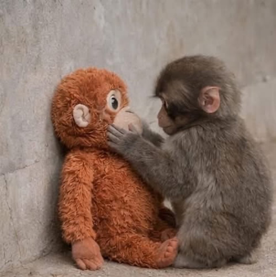 sara💚🍏 tweet media