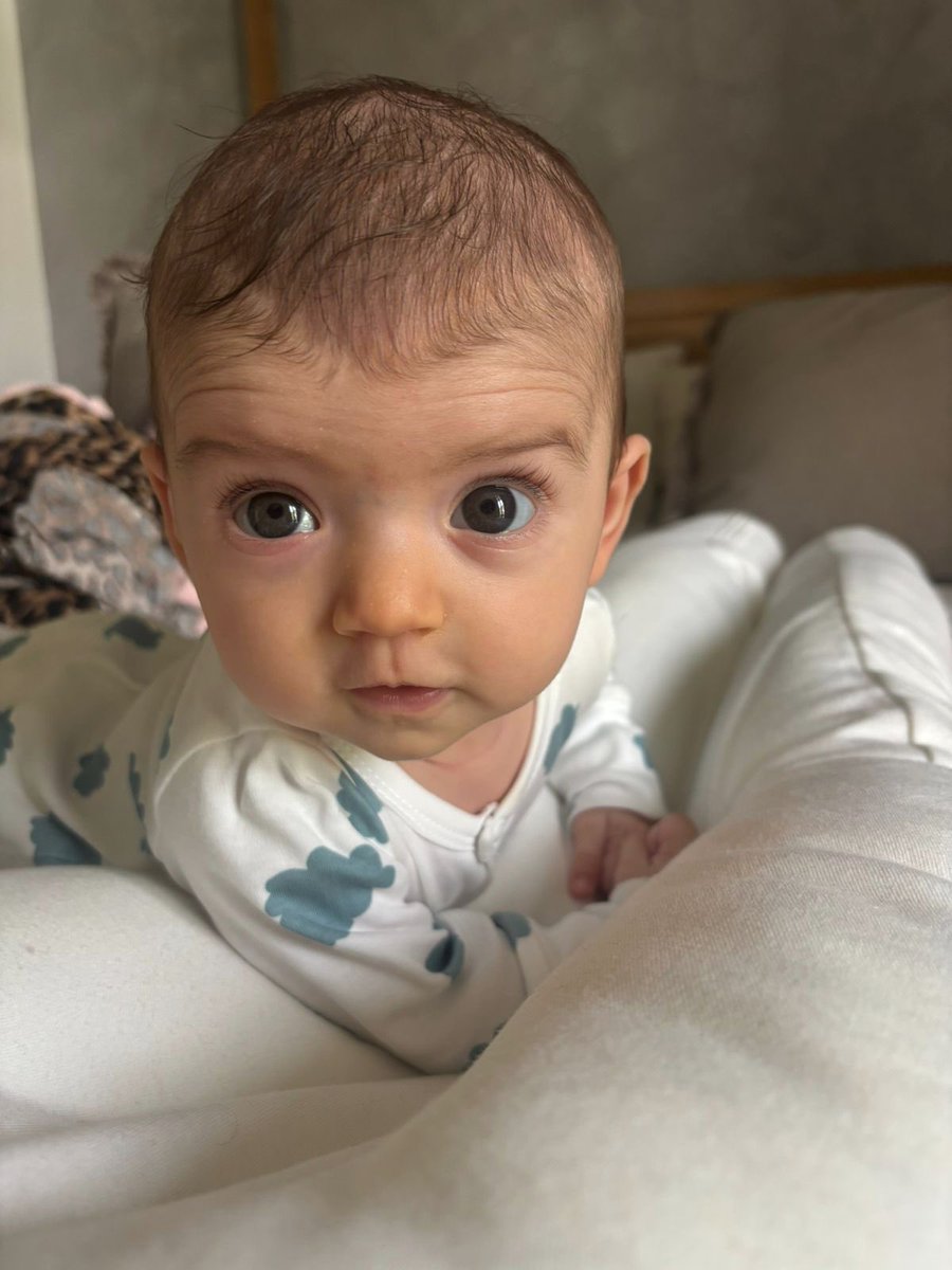 vittorio tweet media