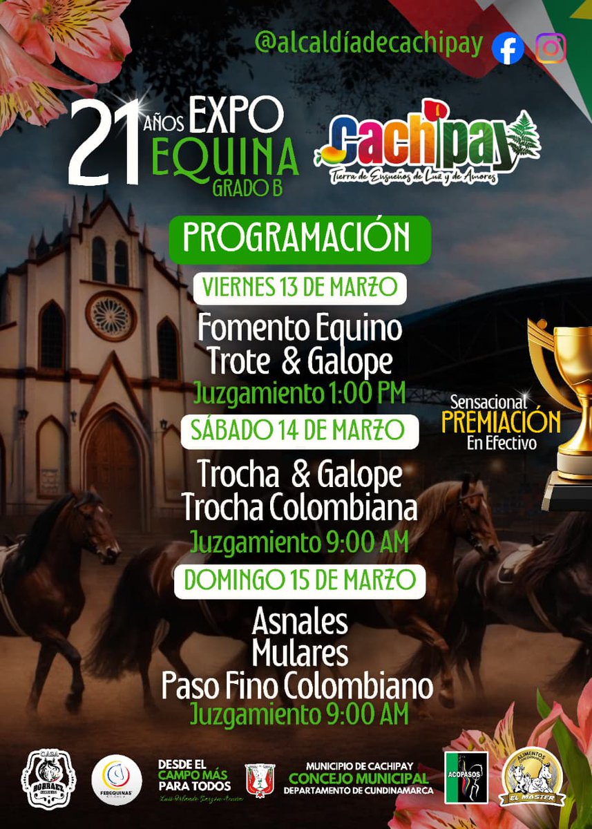 acopasos's tweet photo. 21 expo equina cachipay viernes 13 fomento equino trote &amp; galope 1:00 pm sábado 14 trocha y galope trocha colombiana 9:00 am domingo 15 asnales y mulares paso fino colombiano 9:00 am. https://t.co/O5CPn6KAUY