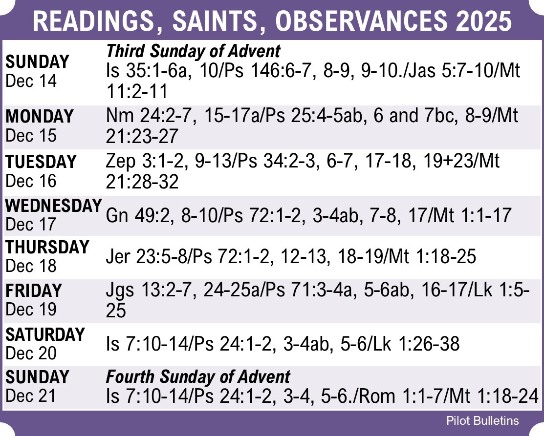 StMarysWinMA's tweet image. #weeklyscripture #stmaryswinma
