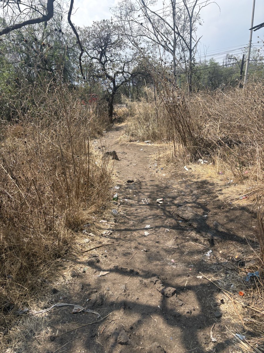 Saquen 🥴 #caminoverdeCU