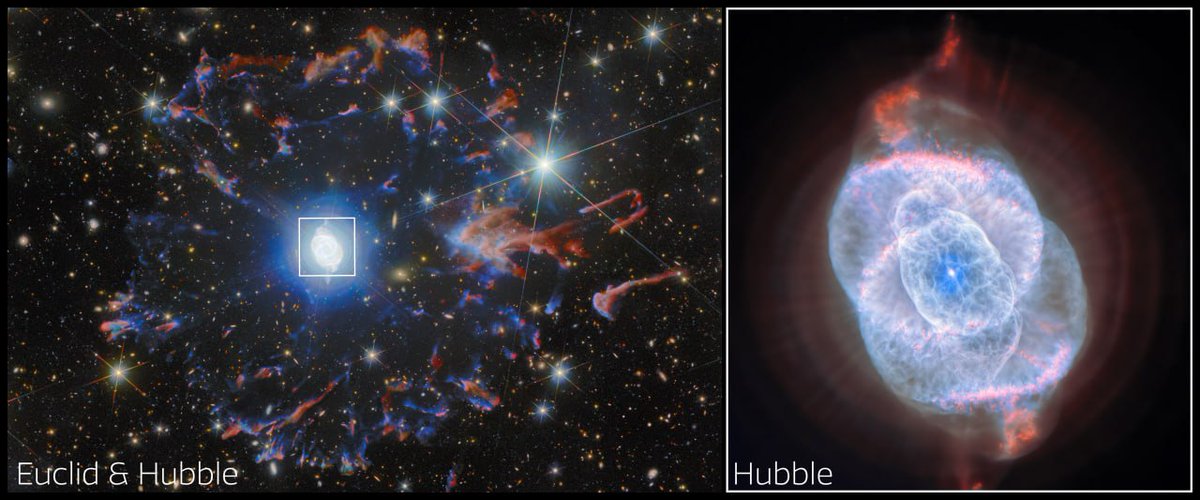 layrelin91's tweet photo. We've never seen it like this before!

A new image of the #CatsEye planetary nebula (NGC 6543). Previously, we saw it in an image obtained by the #Hubble telescope (on the right), and now the Euclid telescope has captured a photo of this nebula, but with a wider field of view. On the left, we see the combined observations of the two #telescopes.

The new data show concentric shells, #jets of high-speed gas, and denser knots formed by shock waves. It is believed that these structures record episodic mass ejections from the dying #star at the center of the #nebula, creating a kind of cosmic "fossil record" of its final stages of evolution.
