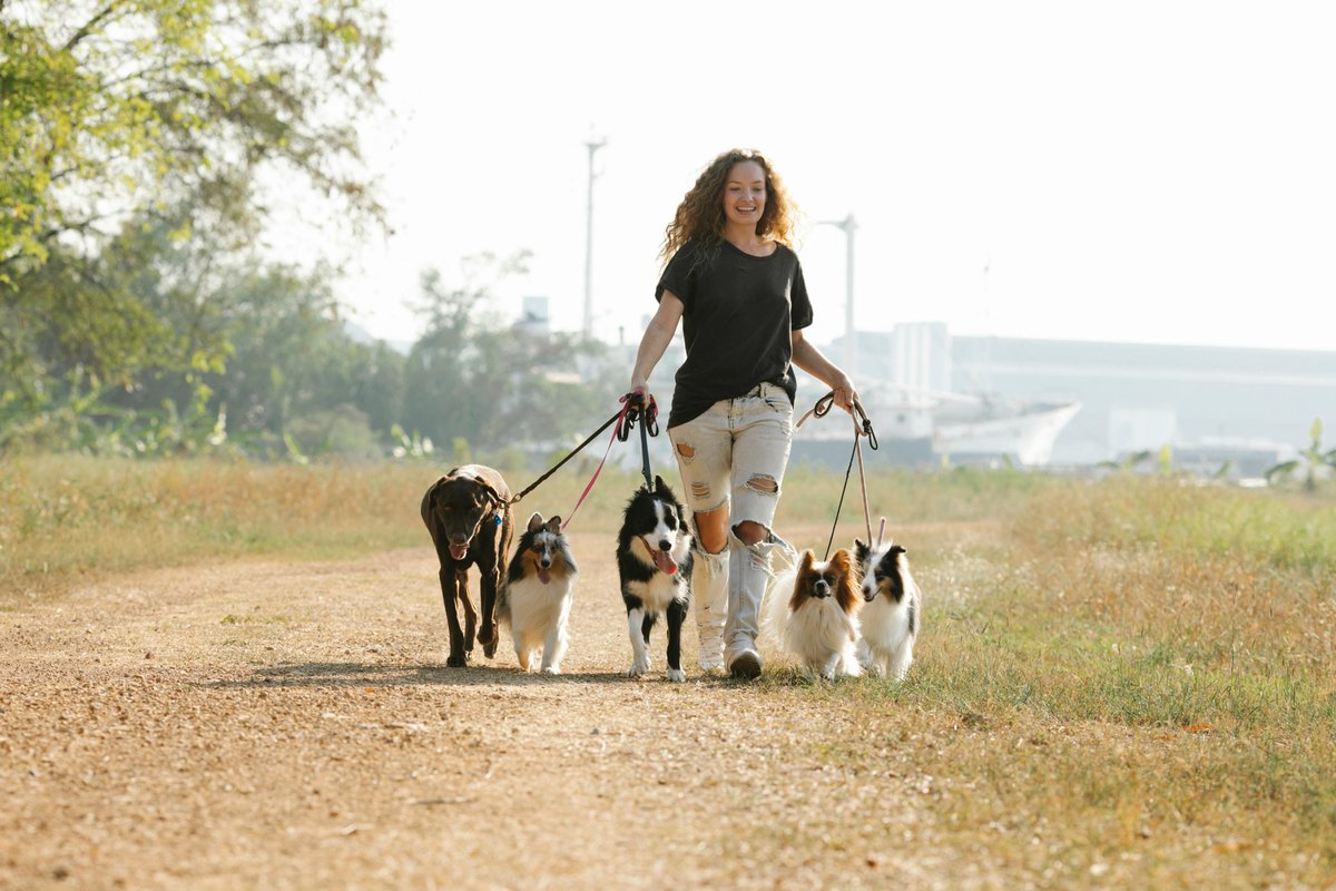 Pawsthings's tweet image. 🐾 The more dogs, the better the walk! 🐶🐶🐶🐶🐶Adventure is always better with a pack.
pawsandplaythings.com#PawsAndPlaythings #DogWalks #DogLovers #PackWalk #HappyDogs