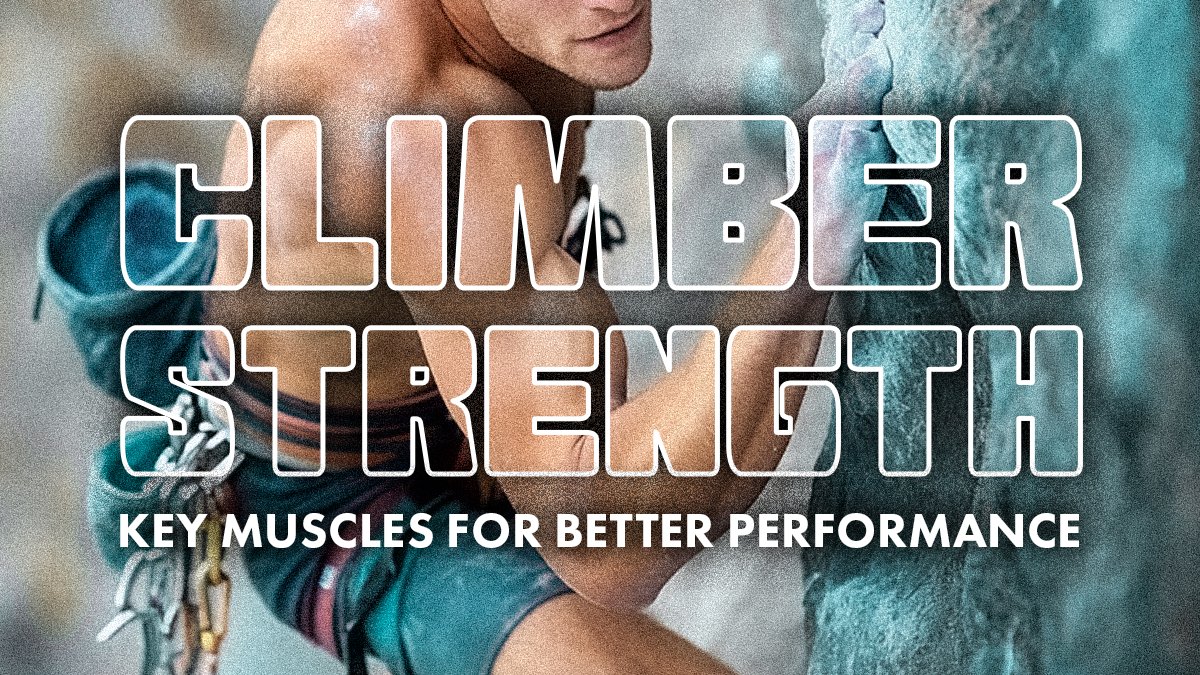 RockSpotClimb's tweet photo. 🧗$10 climbing across all facilities when you opt-in for text updates TODAY (3/6) with March climbing news and specials - https://t.co/Y3SCXBGqHu https://t.co/ALMZ44Npvz