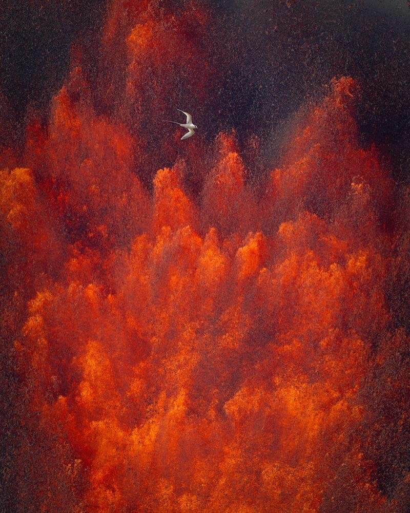 Soveingard tweet media