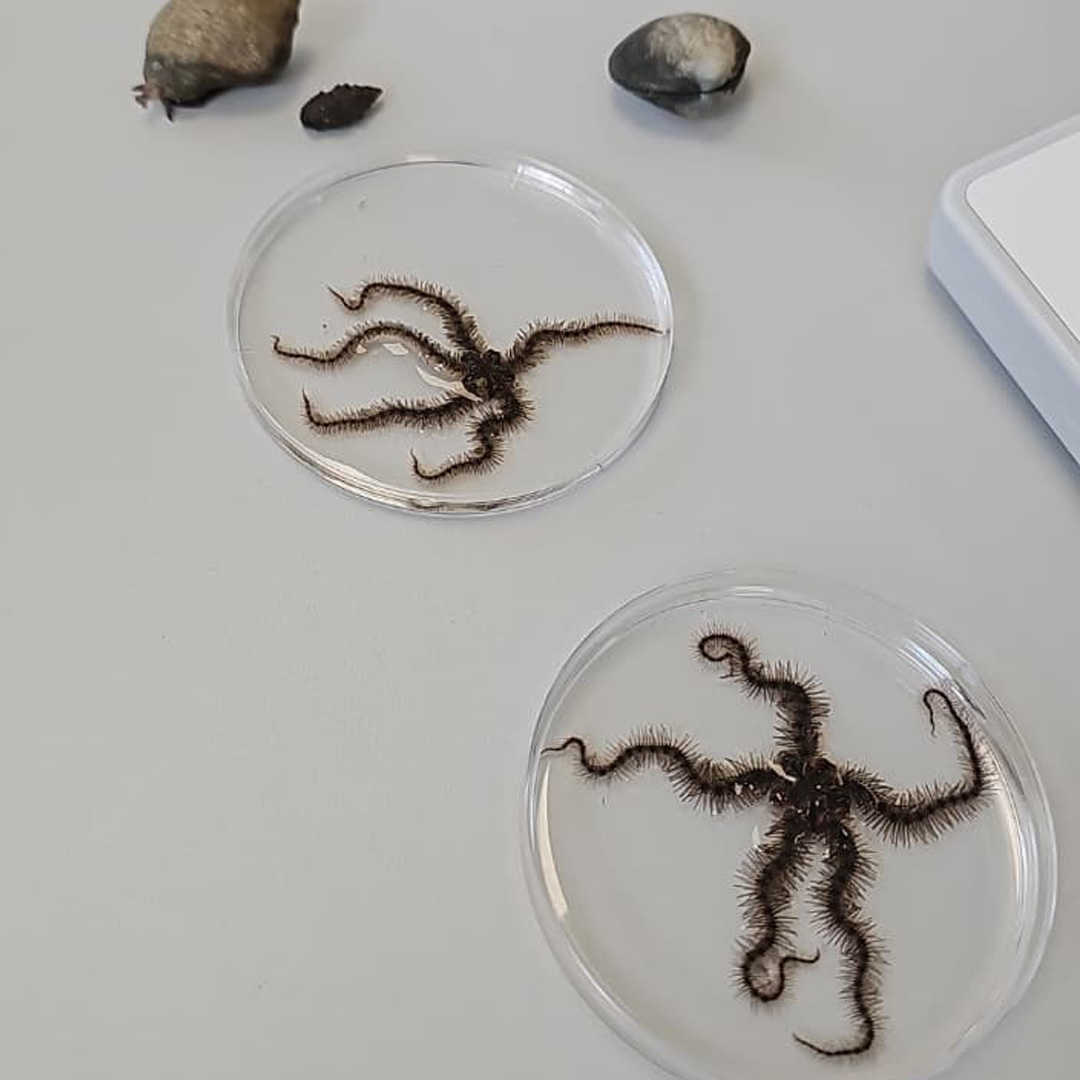 UTPInvestigación tweet media