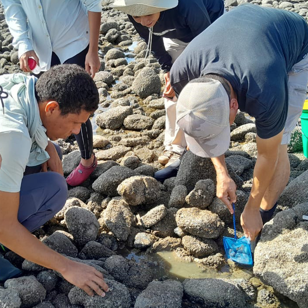 UTPInvestigación tweet media