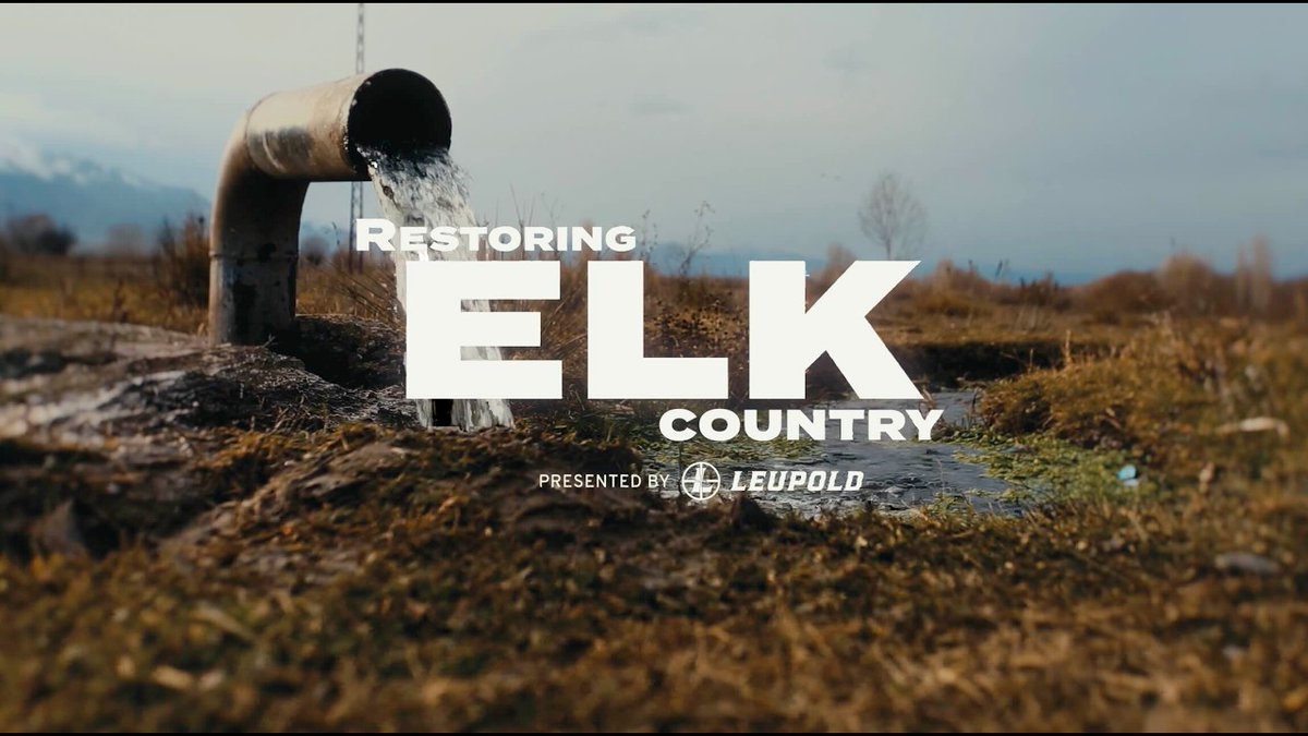 Rocky Mountain Elk Foundation tweet media