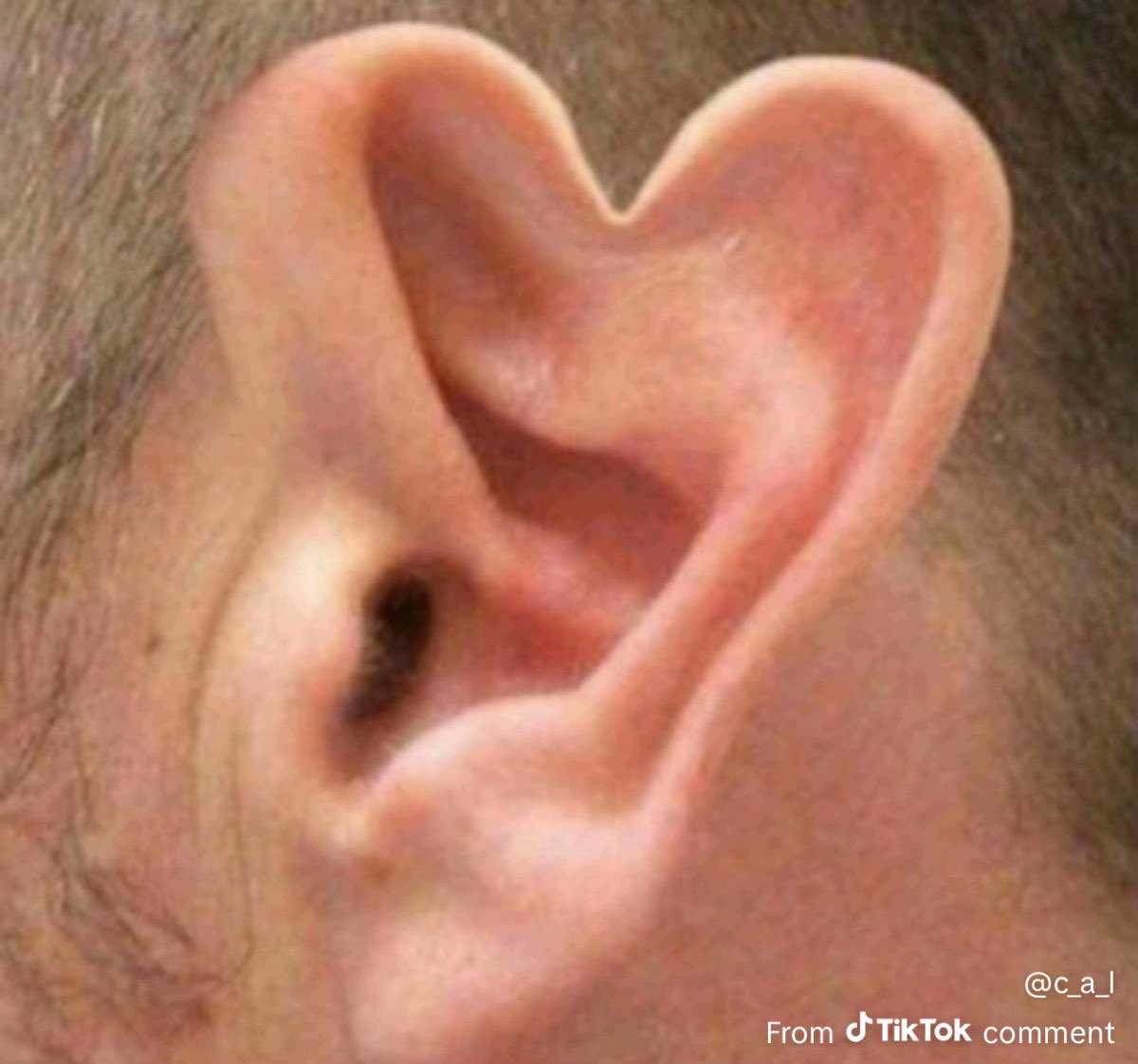 𝔊𝔯𝔦𝔪𝔪 tweet media