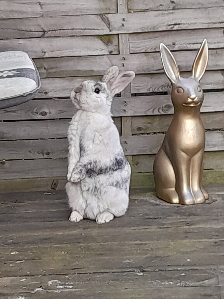 Alex (Donna) tweet media