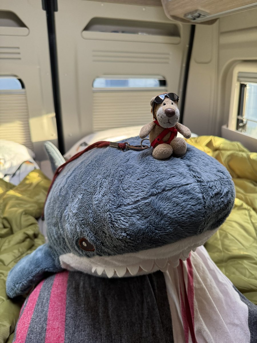 Die Kaua aus Hamm / Westfalen tweet media