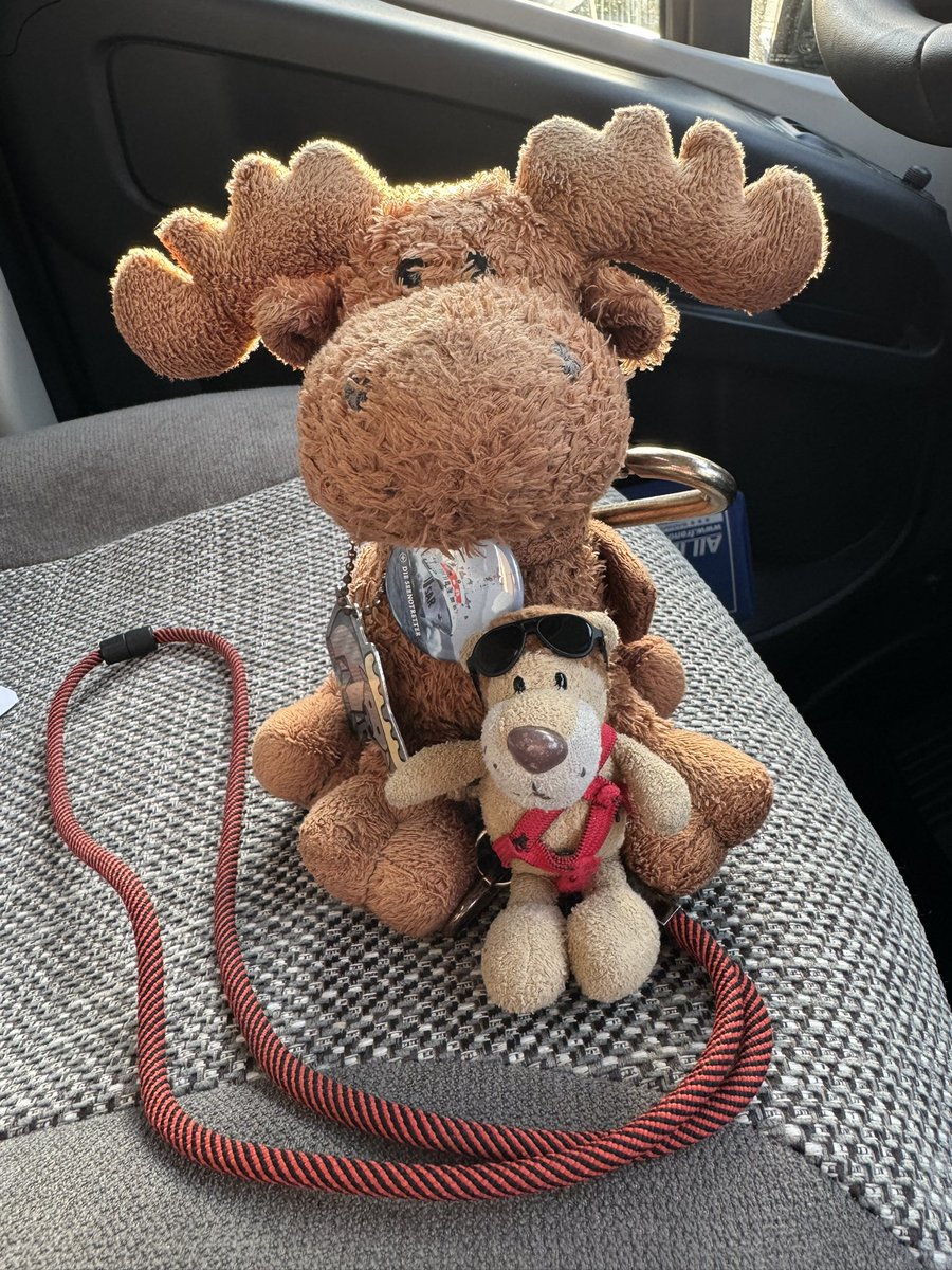 Die Kaua aus Hamm / Westfalen tweet media