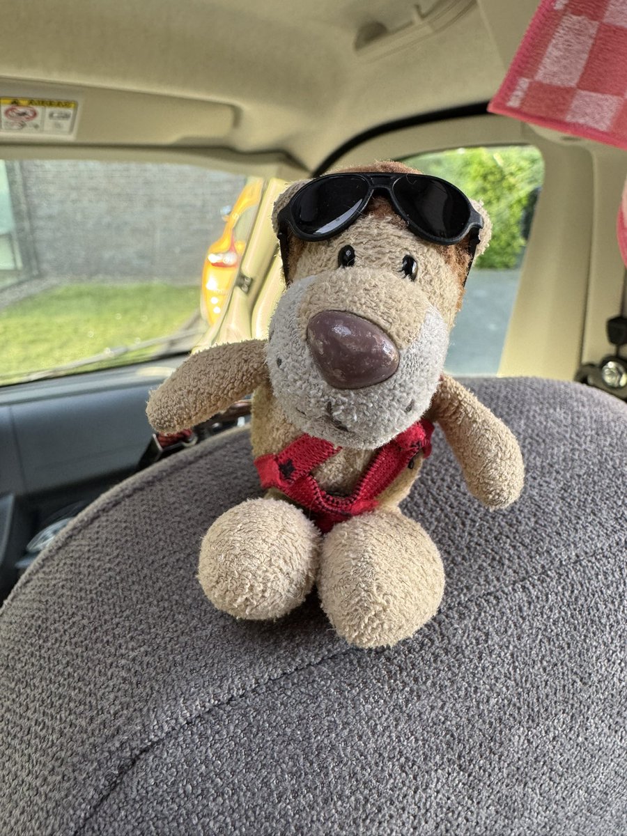 Die Kaua aus Hamm / Westfalen tweet media