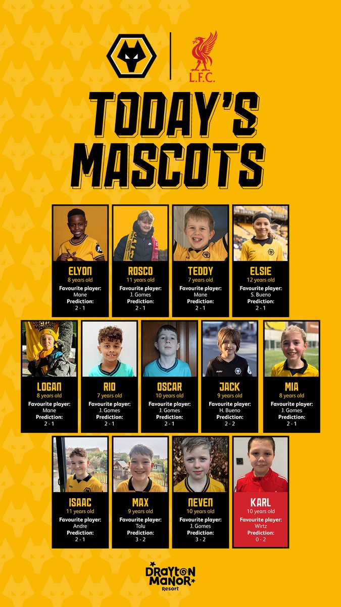 Young Wolves tweet media