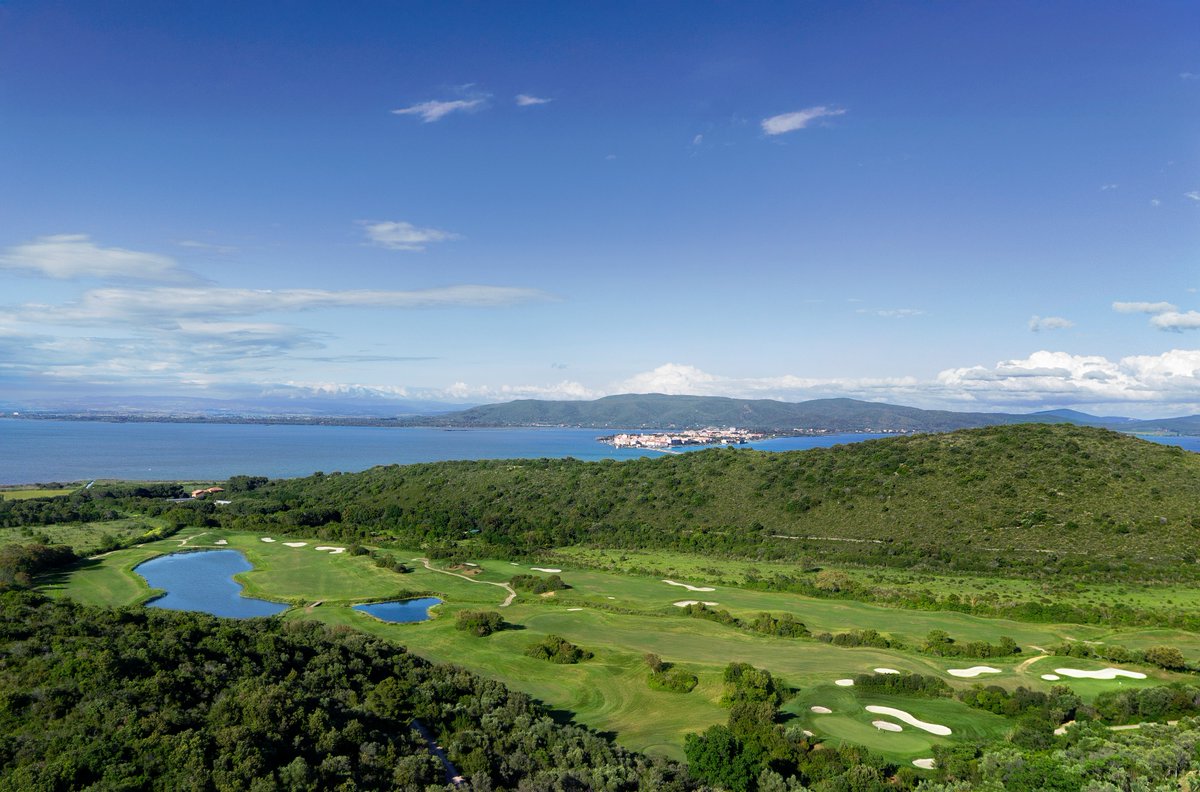 Helen Heady tweet media