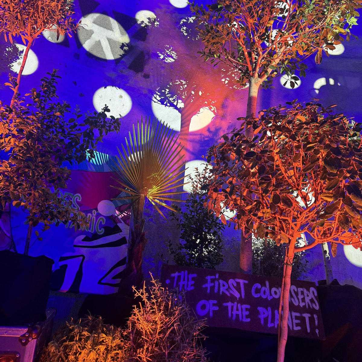 liam 🫧 tweet media