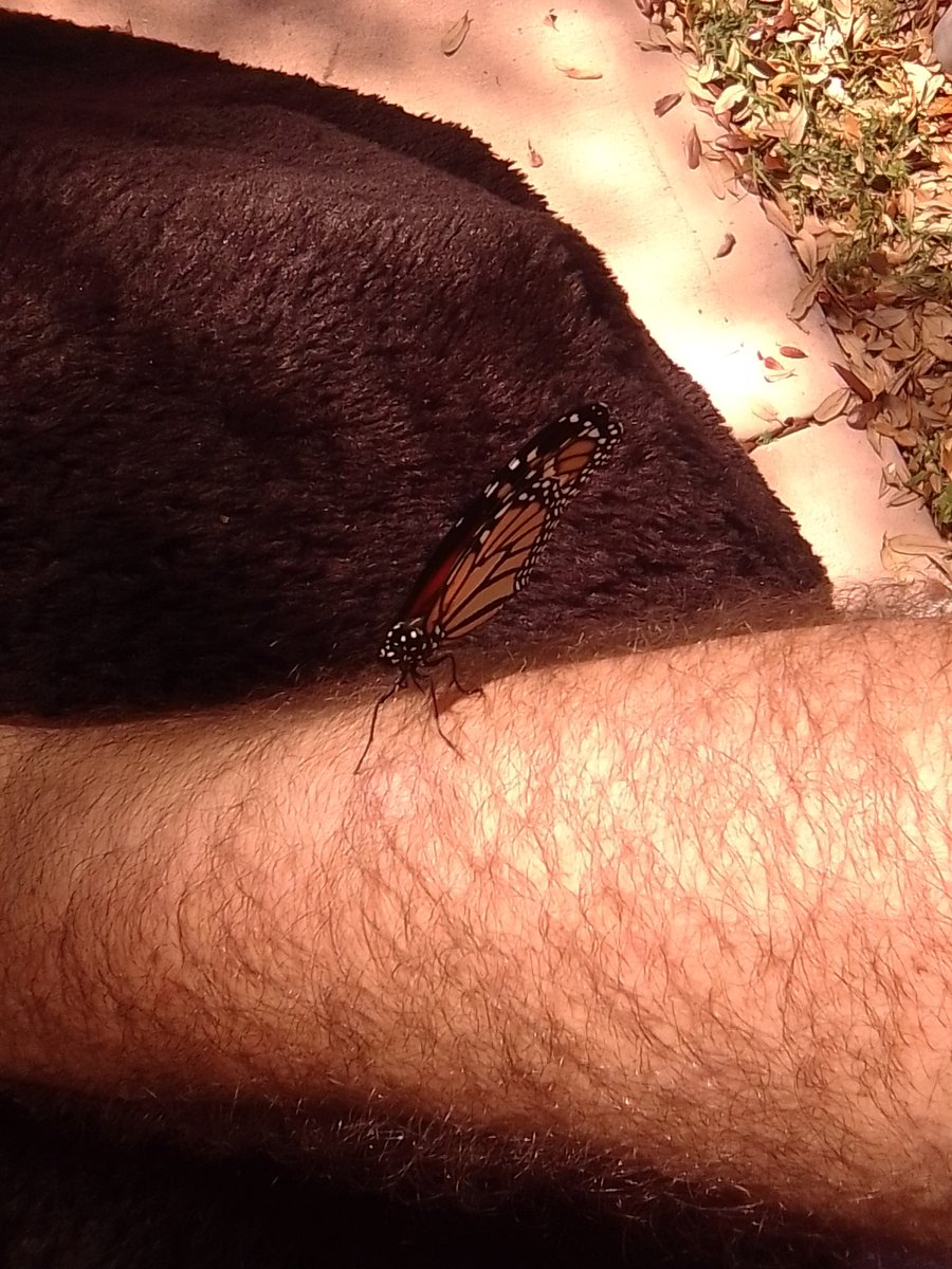 FayeBloodPlays tweet media