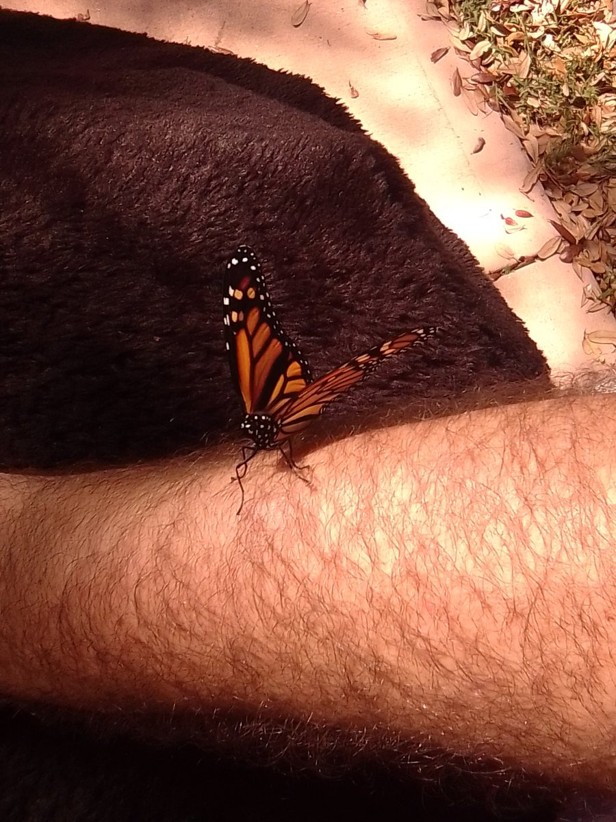 FayeBloodPlays tweet media