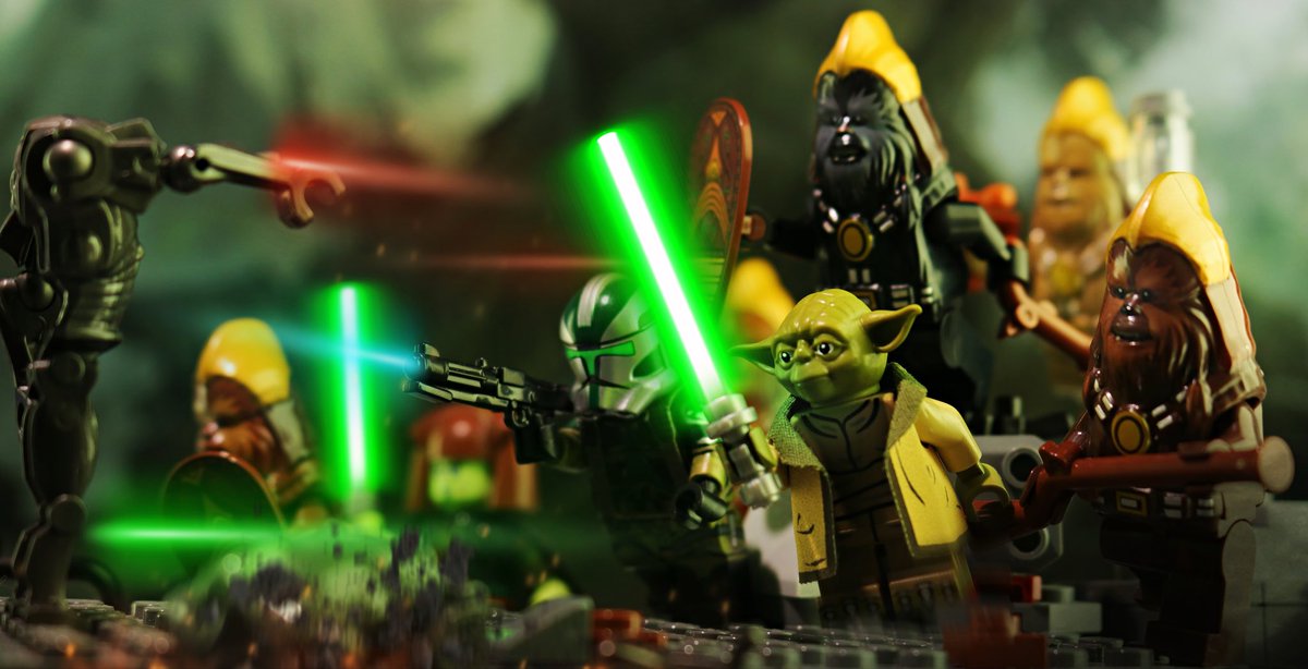 Ross Fallon tweet media