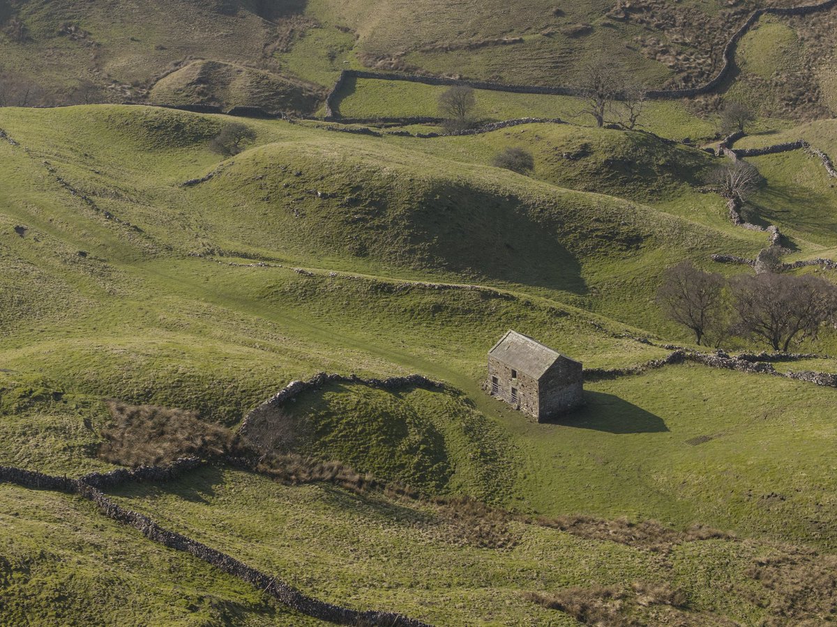 Old Dairy Swaledale tweet media