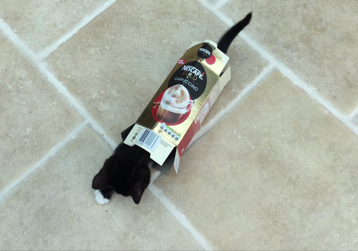 Perry Hampson tweet media