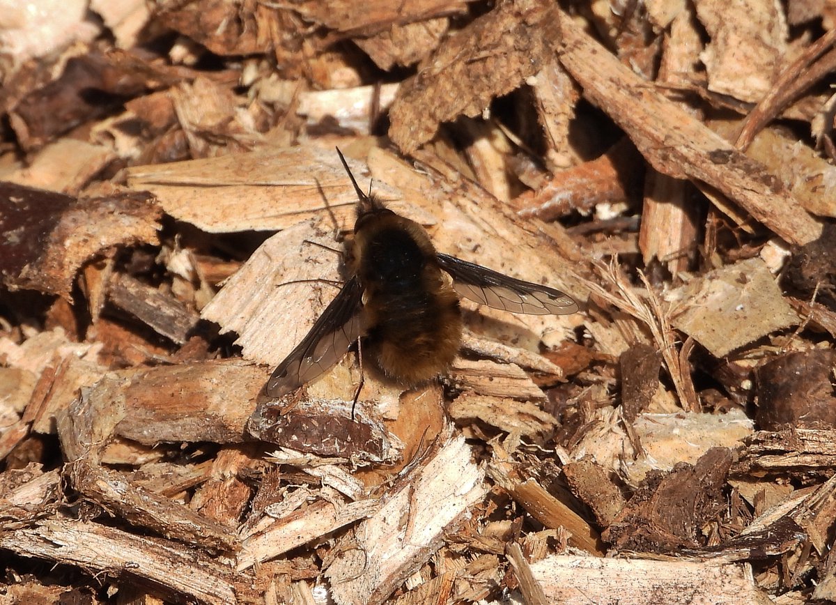 Charles Cuthbert tweet media