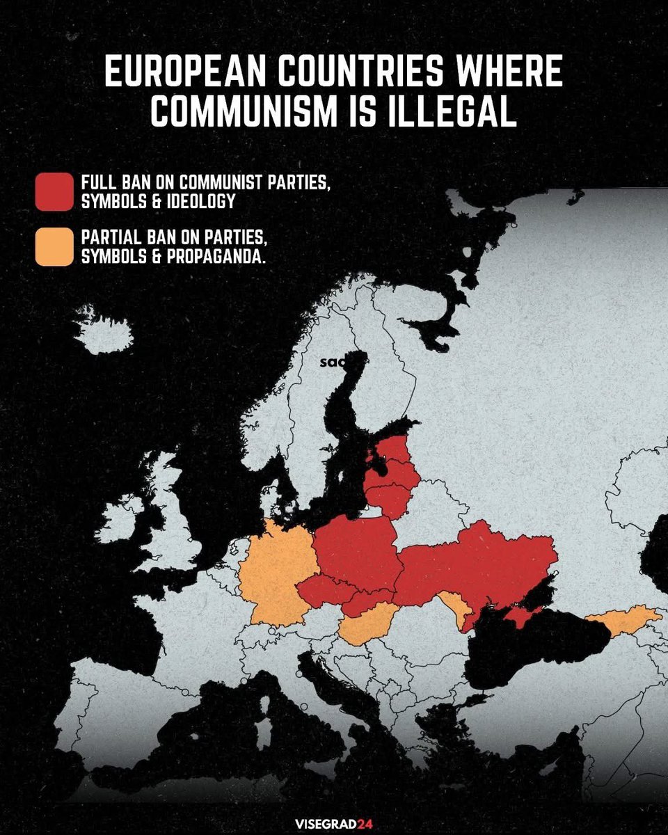 Visegrád 24 tweet media