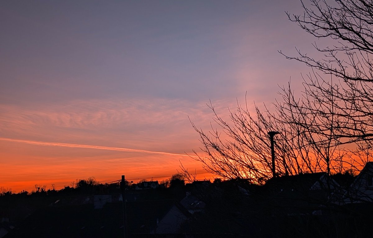 Anne Kelly ⛔NO DMs⛔ unless I know or follow you. tweet media