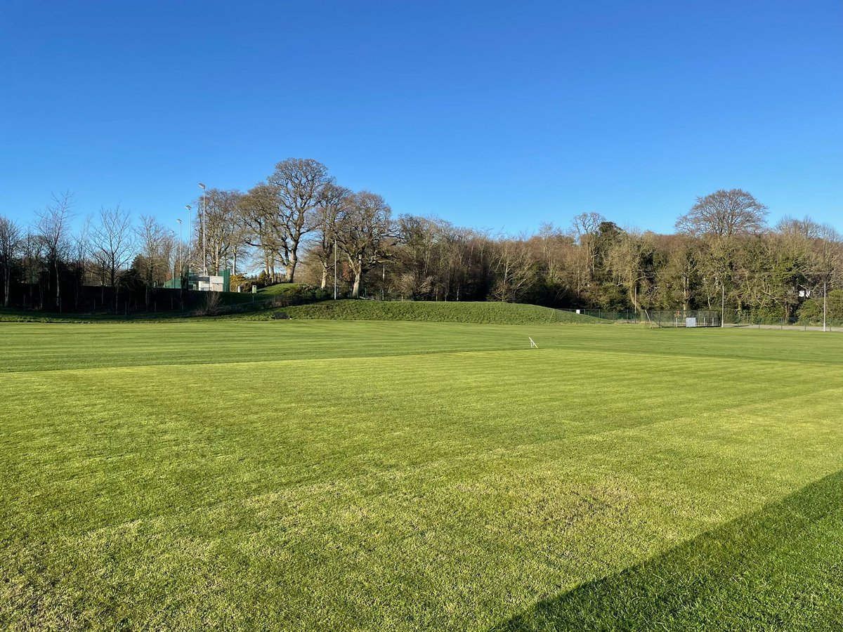 Saintfield Cricket Club tweet media