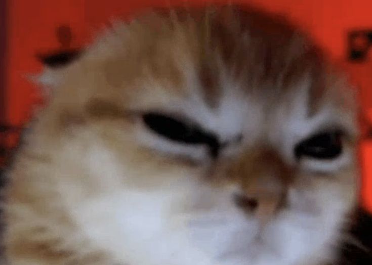 𝑬𝑿𝑷𝑬𝑹𝑰𝑴𝑬𝑵𝑻 1301 tweet media