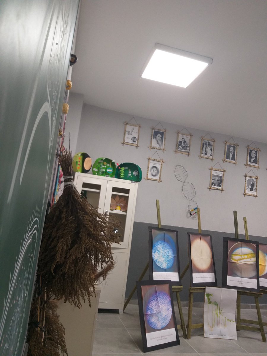 Bir laboratuvar düşünün; 
📌Bilim insanlarını ve yaptıkları çalışmaları anlattığımız bir bölüm..
🔬Mikroskop incelemelerinde elde ettiğimiz hücre görselleri..
🔎Burdur Ağlasun'da yayılış gösteren bitki türleri..
Ve daha fazlası... #BiyoağBiyolojiLaboratuvarı