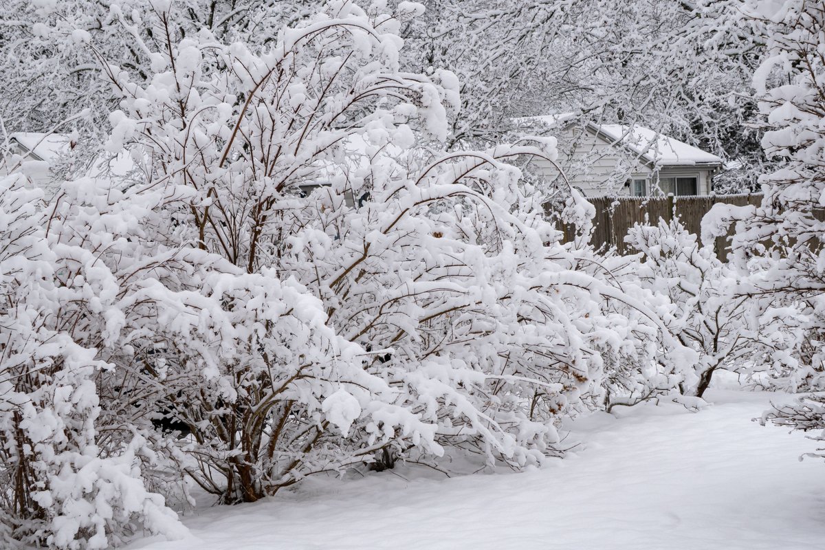 XmxHowes's tweet photo. Available here https://t.co/iTraT0TVUi
#snow #wallartforsale #wallart #gifts #winter #photography #art #snowcovered #landscape #beauty #white #giftideas #NewEnglandWinter #cards #homedecor https://t.co/nSVudPhEI9