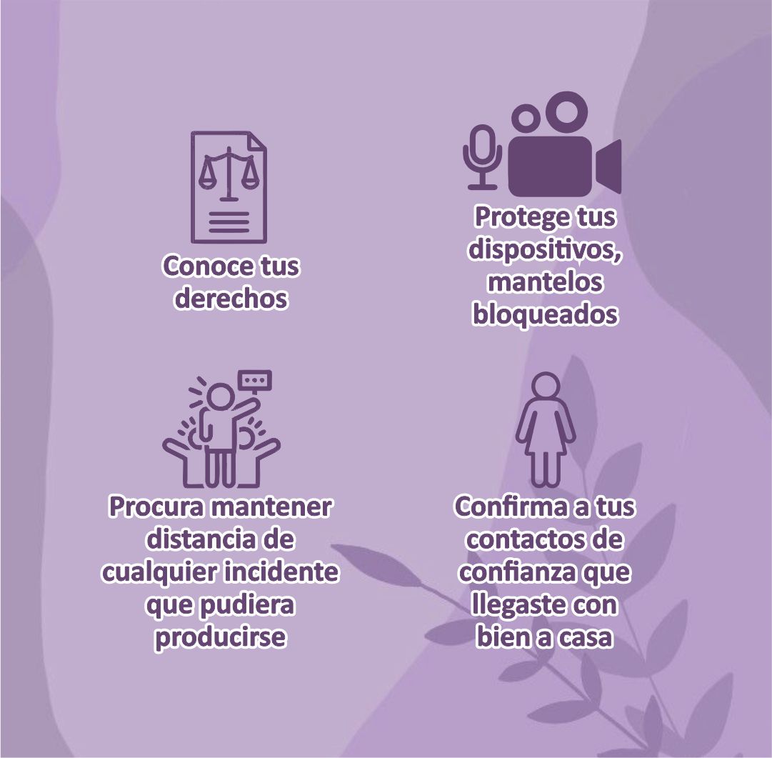 Instituto de Protección Sinaloa tweet media