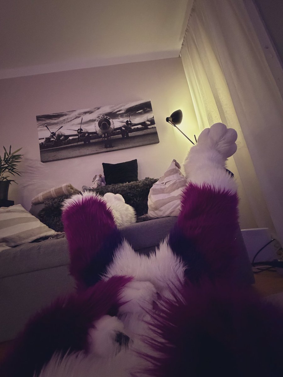 Shay ✨ tweet media