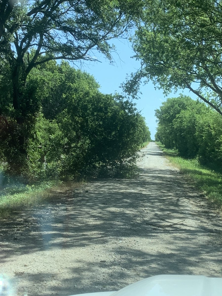 rusticrosetx's tweet photo. Take care in all the choices you make. Remember that, however those choices unfold, you will learn lessons and, hopefully, gain wisdom to share with others. Keep one foot in front of the other; this is a journey and so much more than any destination. You are becoming you. https://t.co/KrkOABGdqM