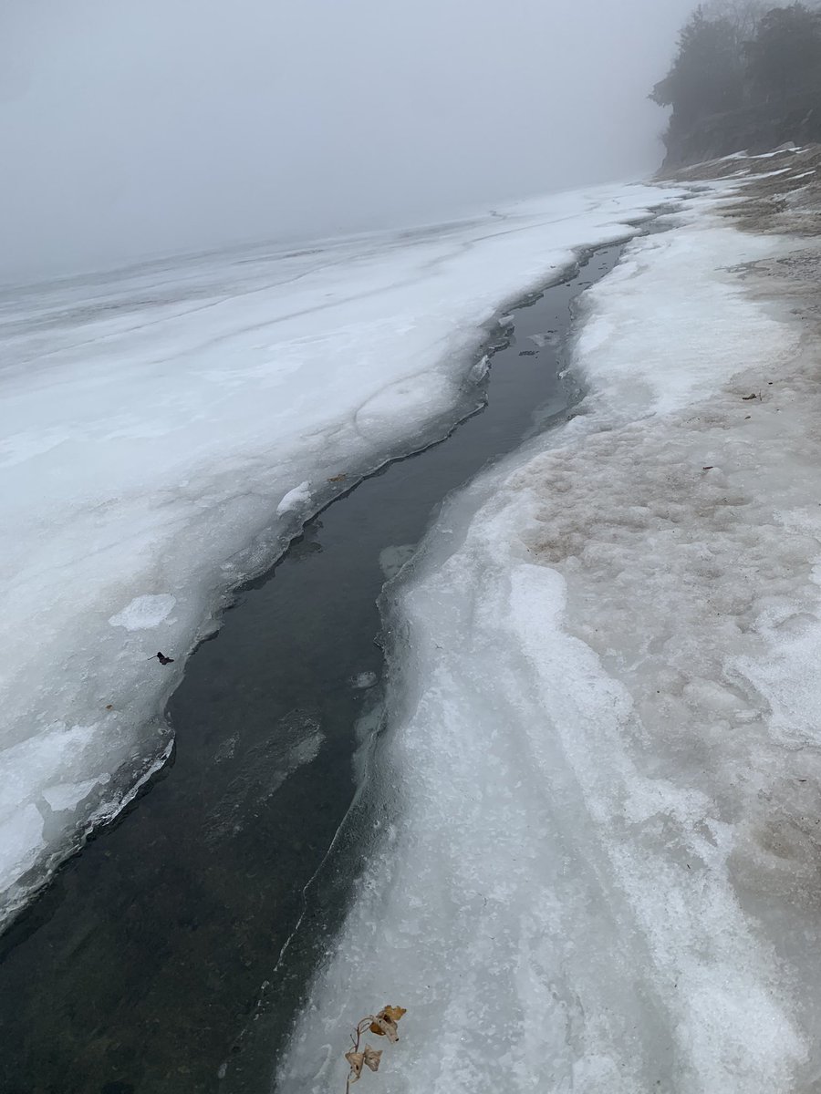 The fog cleared a little to reveal the inevitable.  The remaining section of the North Bay ice (my home) has broken free from the shore…..and a 15 knot south wind is forecasted tonight.  #PeleeIsland