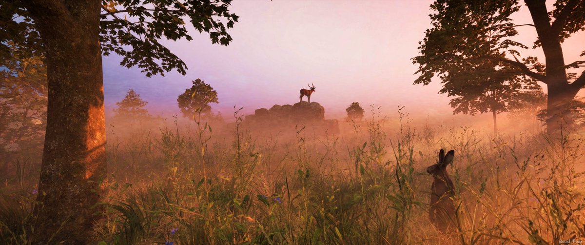 The stag’s morning throne (#OutsideTheBlocks #ConceptArt #Stag #Sunrise #Fog)