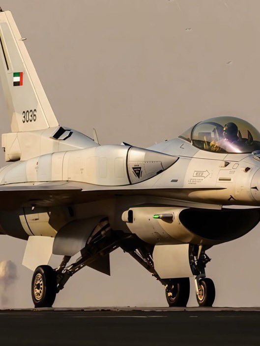 الصناعات الإماراتية tweet media