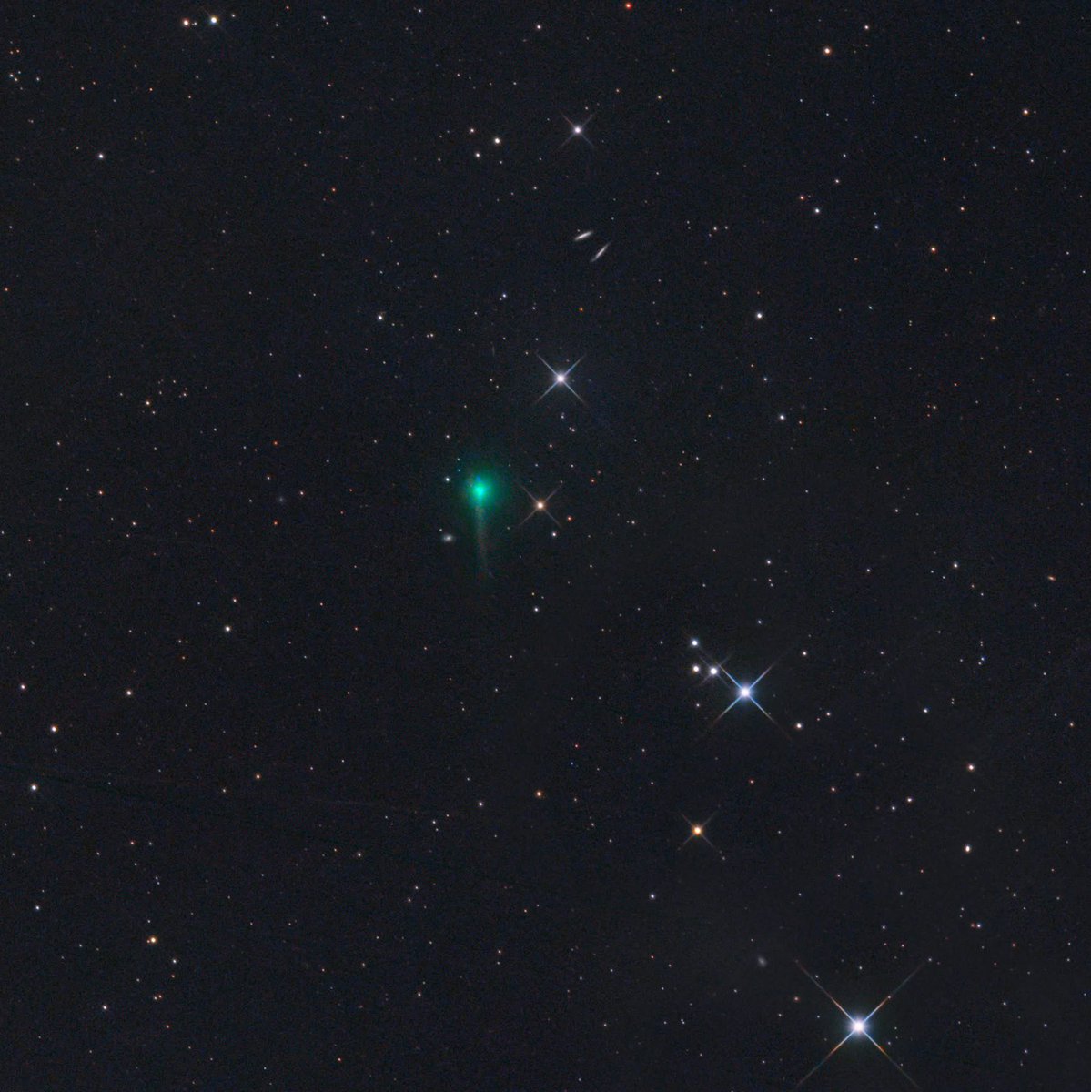 Drew Doss tweet media