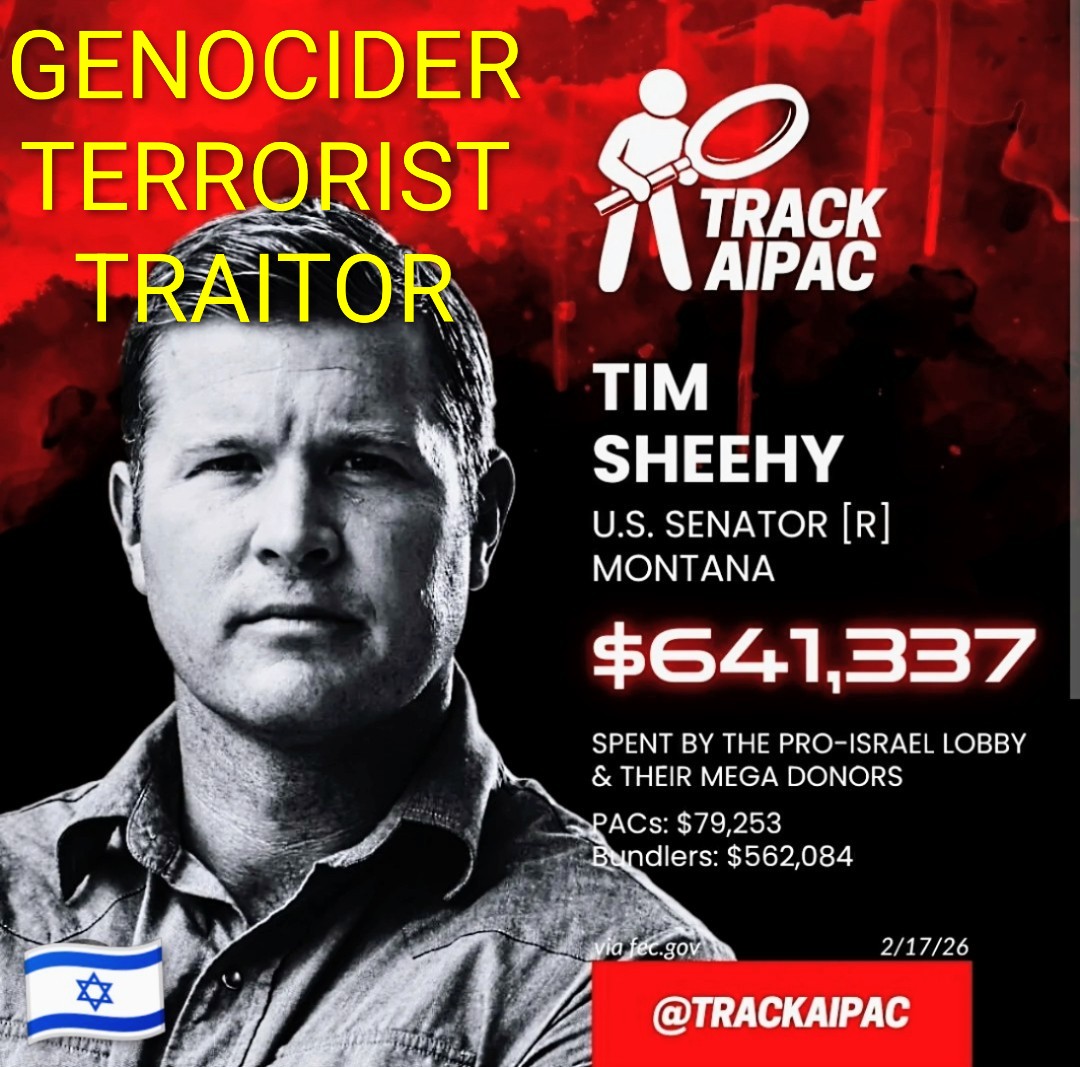 NatalieMonarrez's tweet image. #TimSheehy #Montana #coward 👎👎