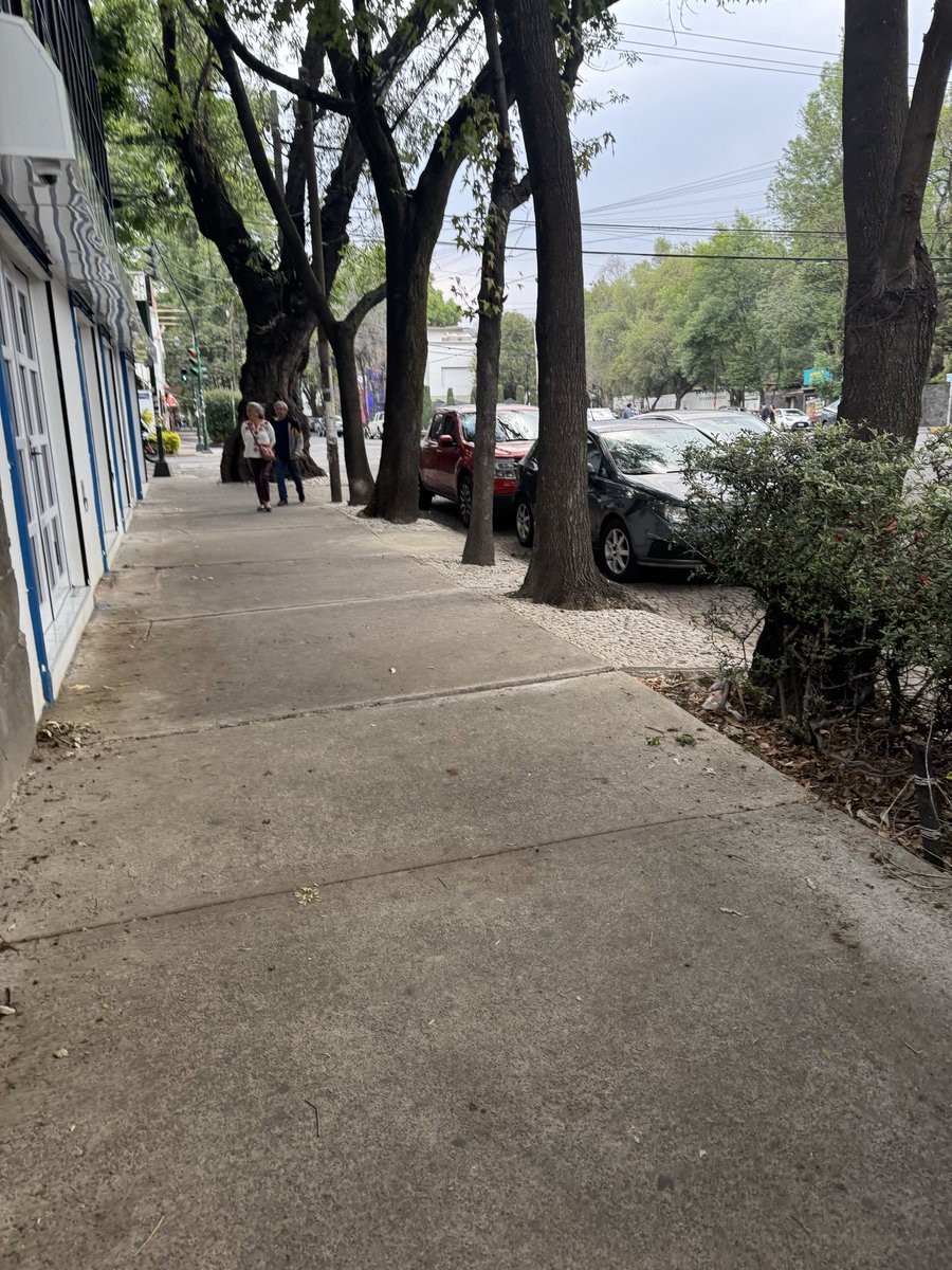 Luz de Canela tweet media