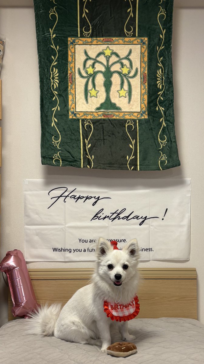 さかえ243号 tweet media