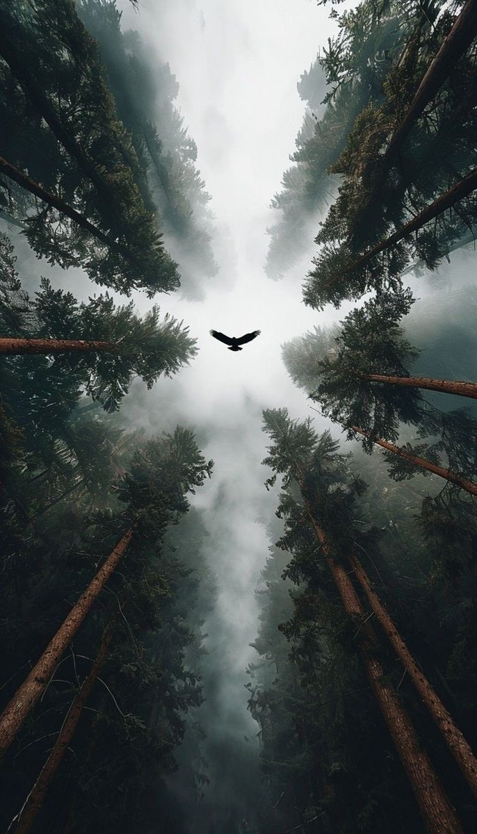 Nimrodel tweet media