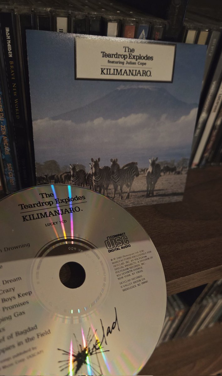 ActivistOfMusic's tweet image. Now Listening: The Teardrop Explodes
Album: Kilimanjaro
#postpunk #80smusic #tunes